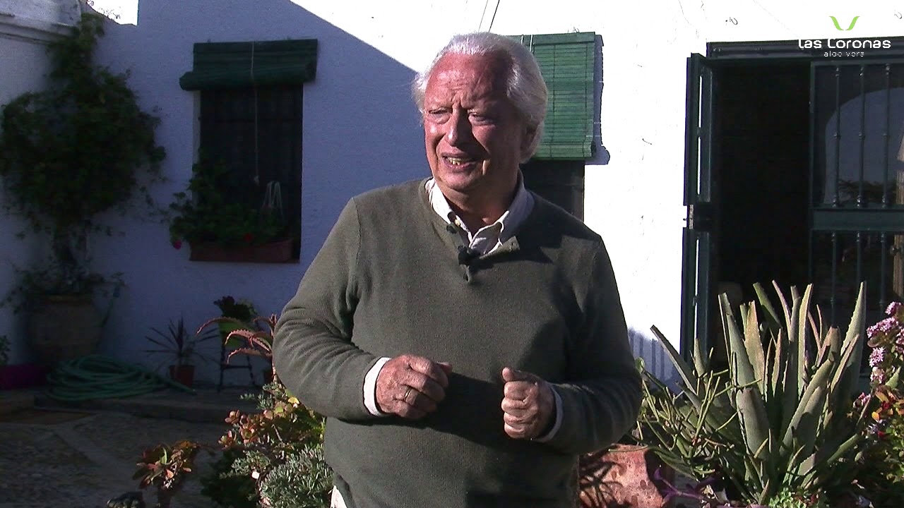 Diferencias entre Aloe Vera y Aloe Arborescens