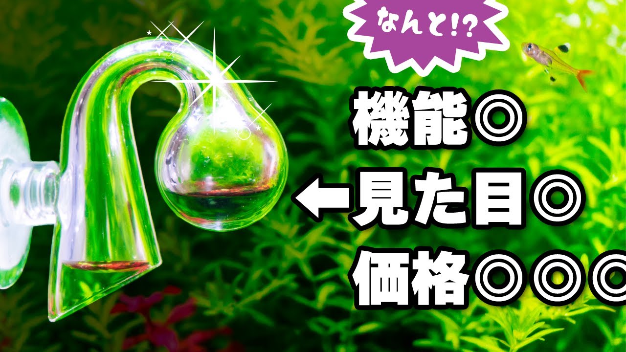 ○○円で買えるCO2濃度を測定するCO2インジケーター！水草水槽で最適なCO2添加量がわかるおしゃれで機能的なアイテム #アクアリウム #熱帯魚 #はるデザイン 【ビバアクア】