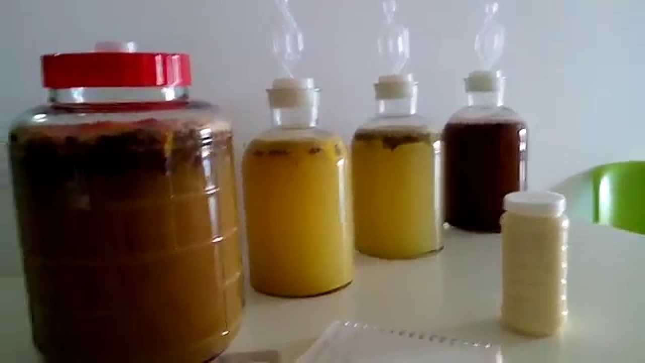 Making Mead in China!
