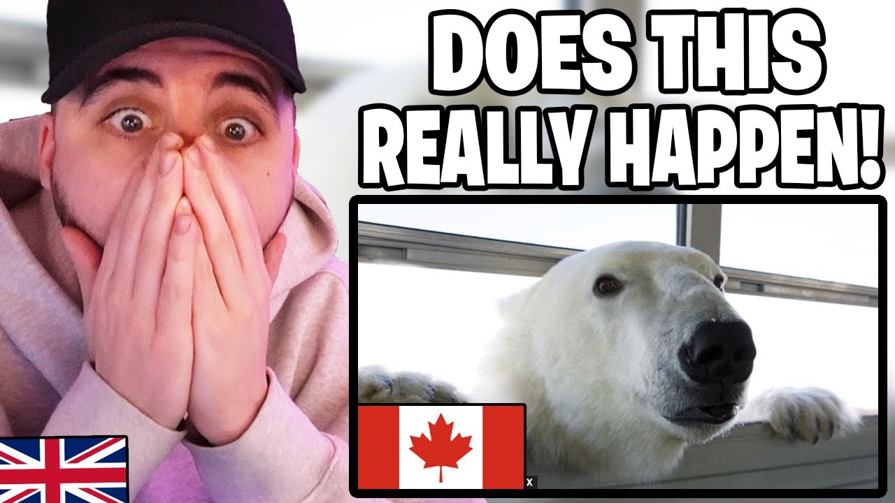 Brit Reacts to Things That Make Canada Unique That SUPRISE Europeans