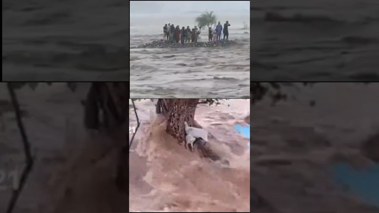 River Flood News Update |Pakistan River Flood News|