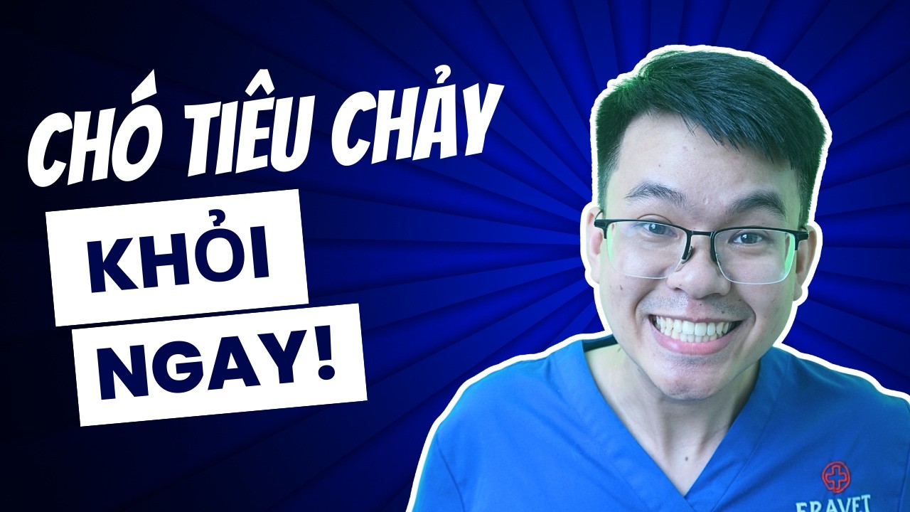 Chó Bị Tiêu Chảy – 4 Bước Cần Làm Ngay Tại Nhà Trong 24h | Bác Sĩ Trung