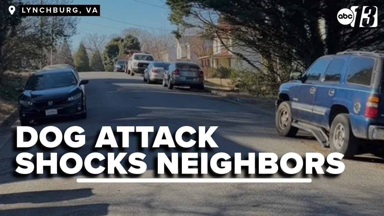 Neighbors traumatized after dog attacks child in Virginia