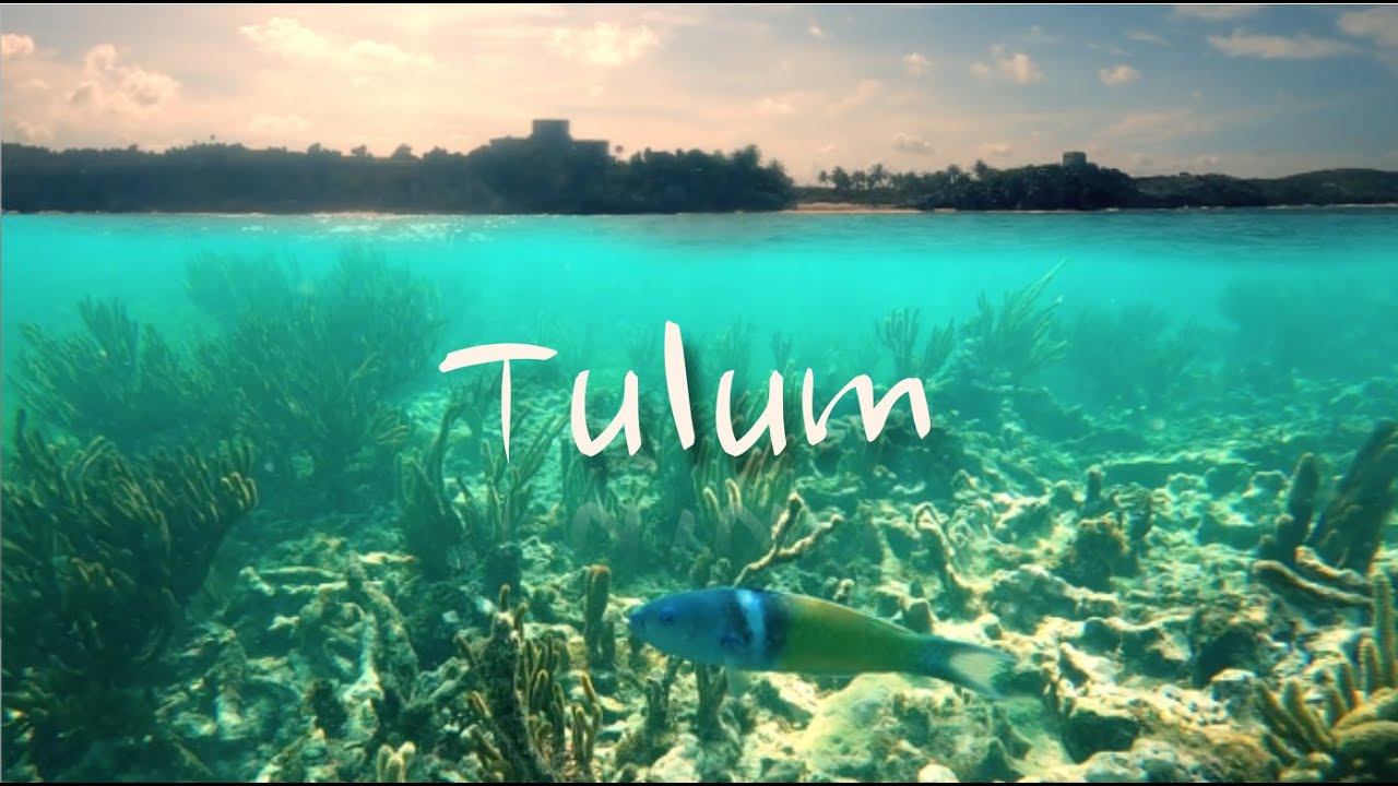 Snorkeling Tulum Reef in México