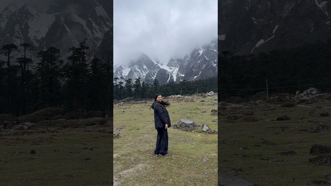 📍Yumthang, Valley of flowers in Lachung North Sikkim❤️