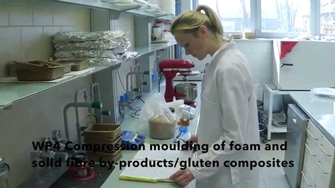 Bio2Mat-WP4
