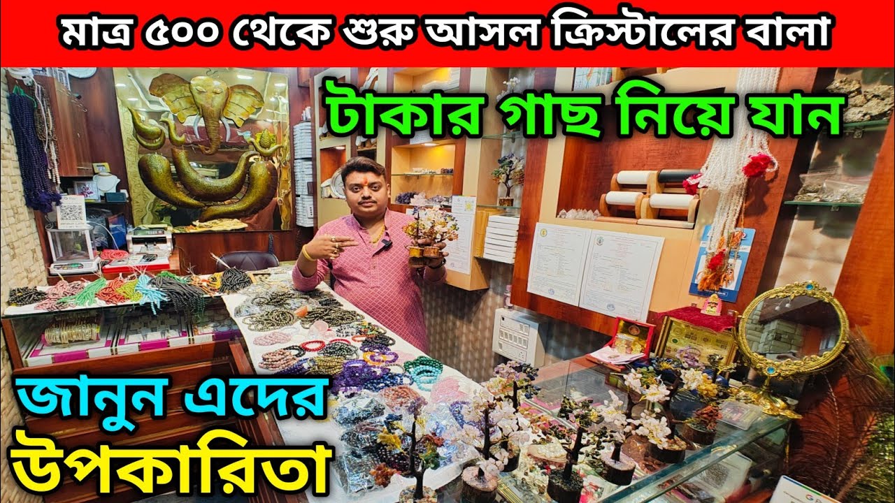 টাকার গাছ নিয়ে যান | ৫০০ থেকে শুরু আসল ক্রিস্টালের বালা | জানুন এদের উপকারিতা