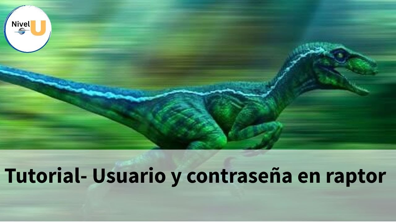 Tutorial Usuario y contraseña Raptor #raptor  #raptortutorial #raptorejercicios #raptorprogramacion