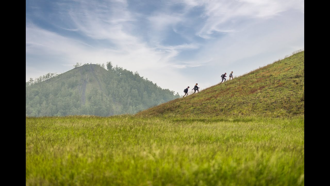 Hiking Thorpark - Nationaal Park Hoge Kempen