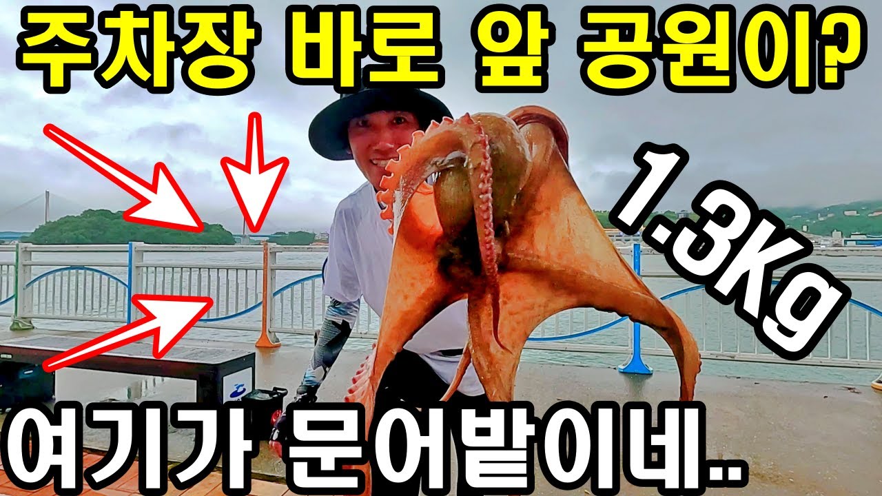 10초면 진입 가능한 공원 포인트가 키로 문어낚시 포인트? 바닥&문어 구분방법!