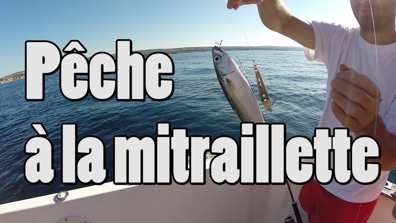 Pêche maquereau à la mitraillette