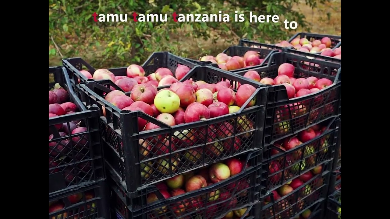 Apples made in Tanzania - Apple zilizozalishwa Tanzania 🍎🇹🇿🍏