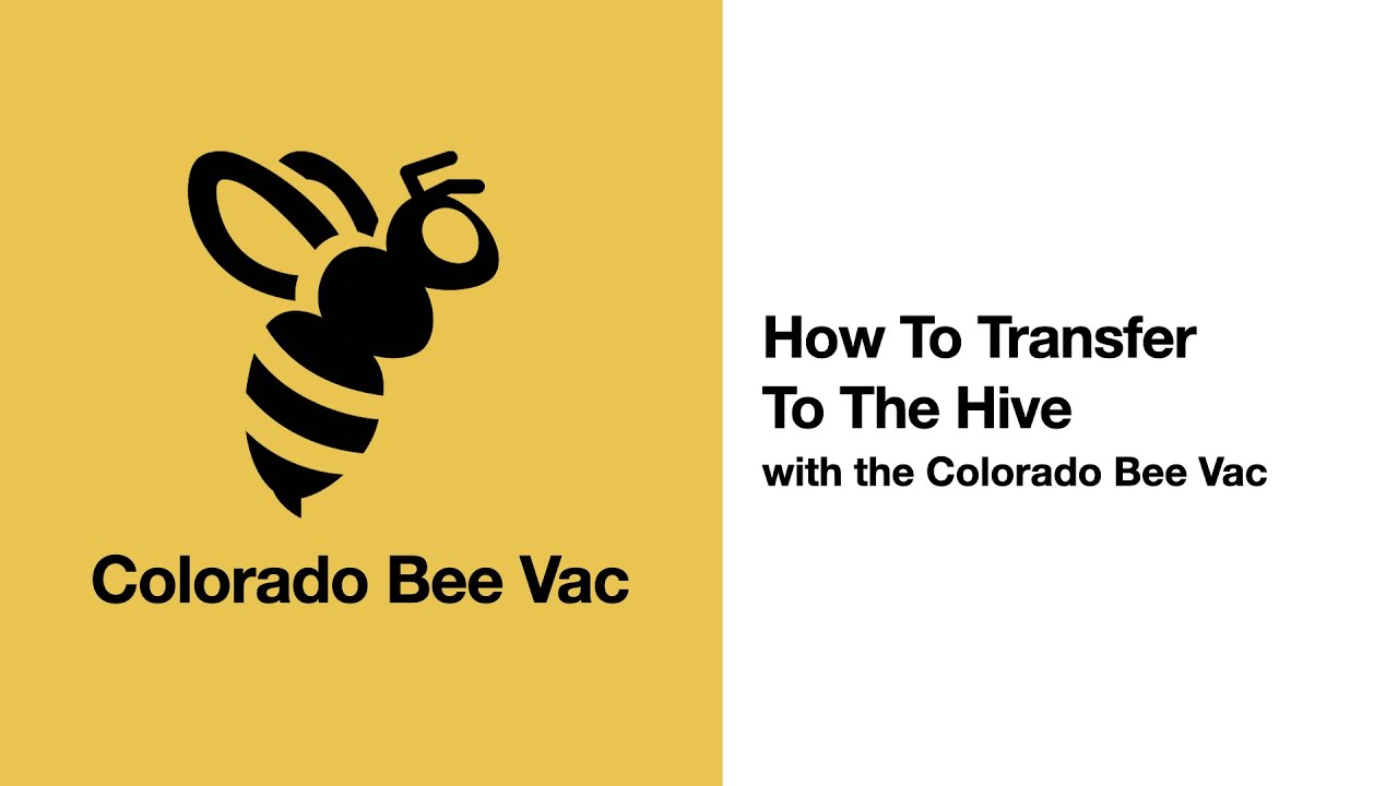 Colorado Bee Vac: How To Do A Hive Transfer