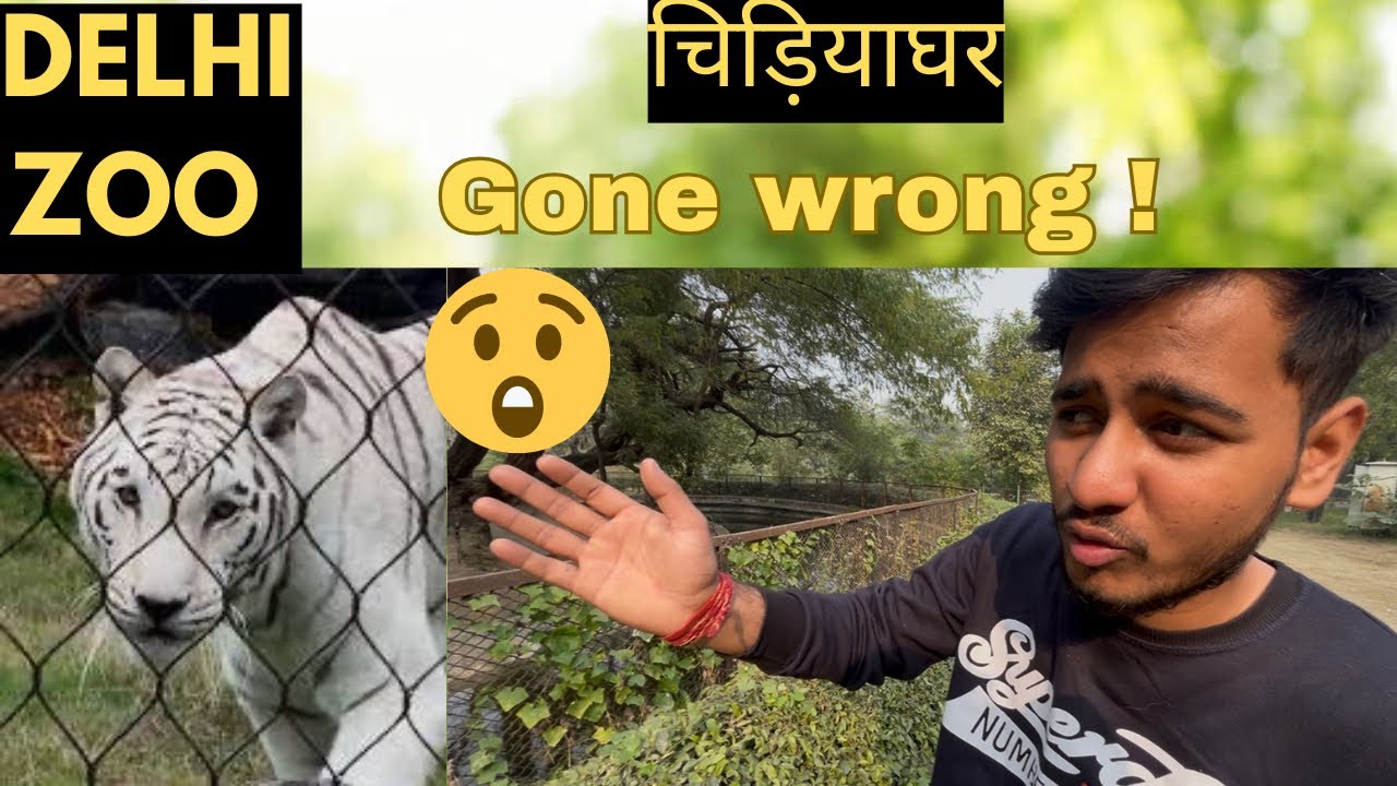 Delhi Zoo | चिड़ियाघर | GONE WRONG 😨!  YASHU TUBER  #delhizoo 