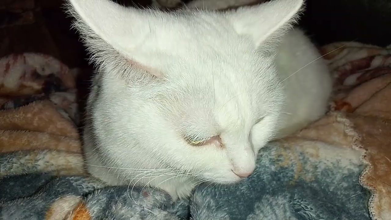 ПРОШЛО 4 ГОДА...😭  НЕ ОТПУСТИЛО!😥МЫ С НЮШЕЙ -ЛУЧШИЕ ПОДРУЖКИ!😻