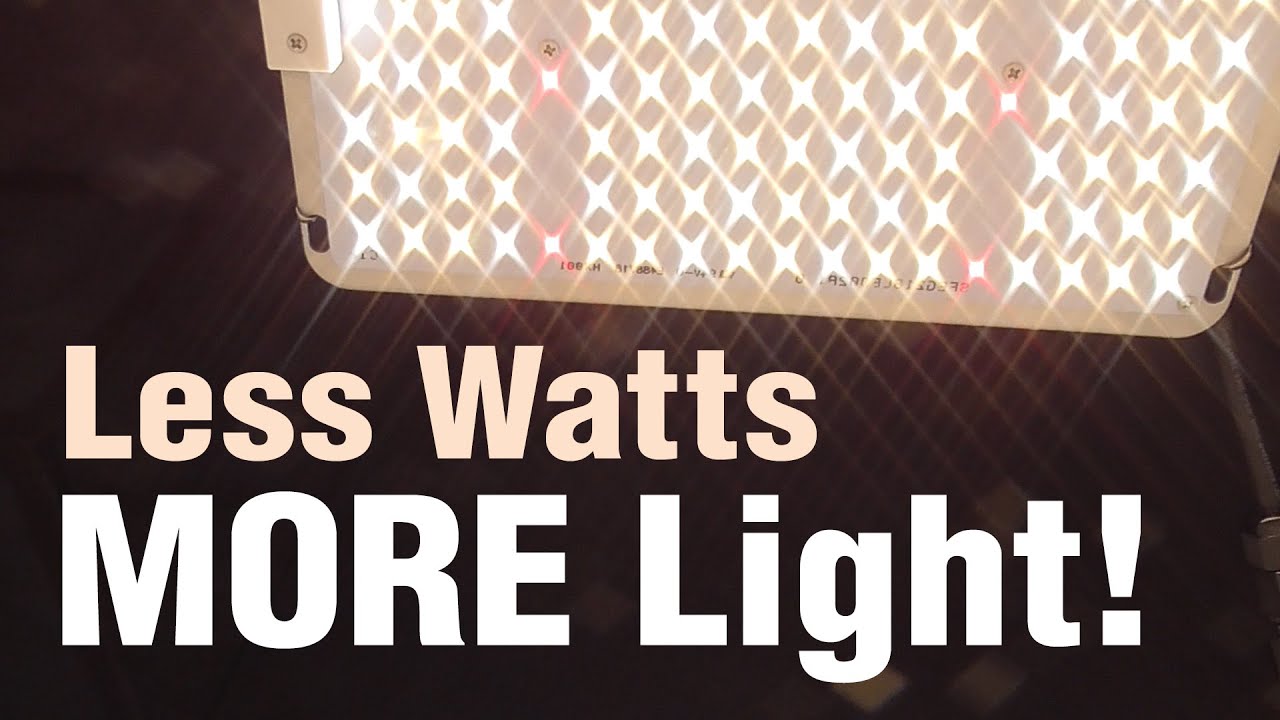 Next Gen Quantum LED Panels: Cheap, Easy & Super Efficient Boards (Spider Farmer Grow Light Review)