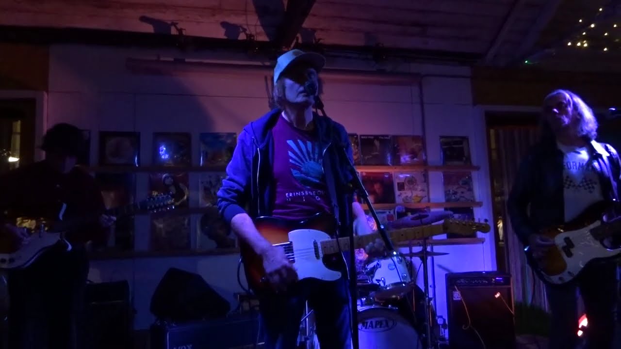 14 iced bears - sure to see - just dropped in, coventry - 12/10/25
