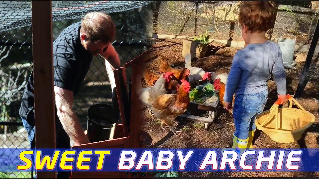 🛹 BABY ARCHIE - Sweet & Happy 🐓