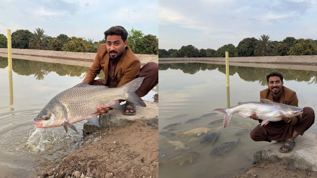 Apna Talab Sa Fishs 🐠 Pakar Li 🥳
