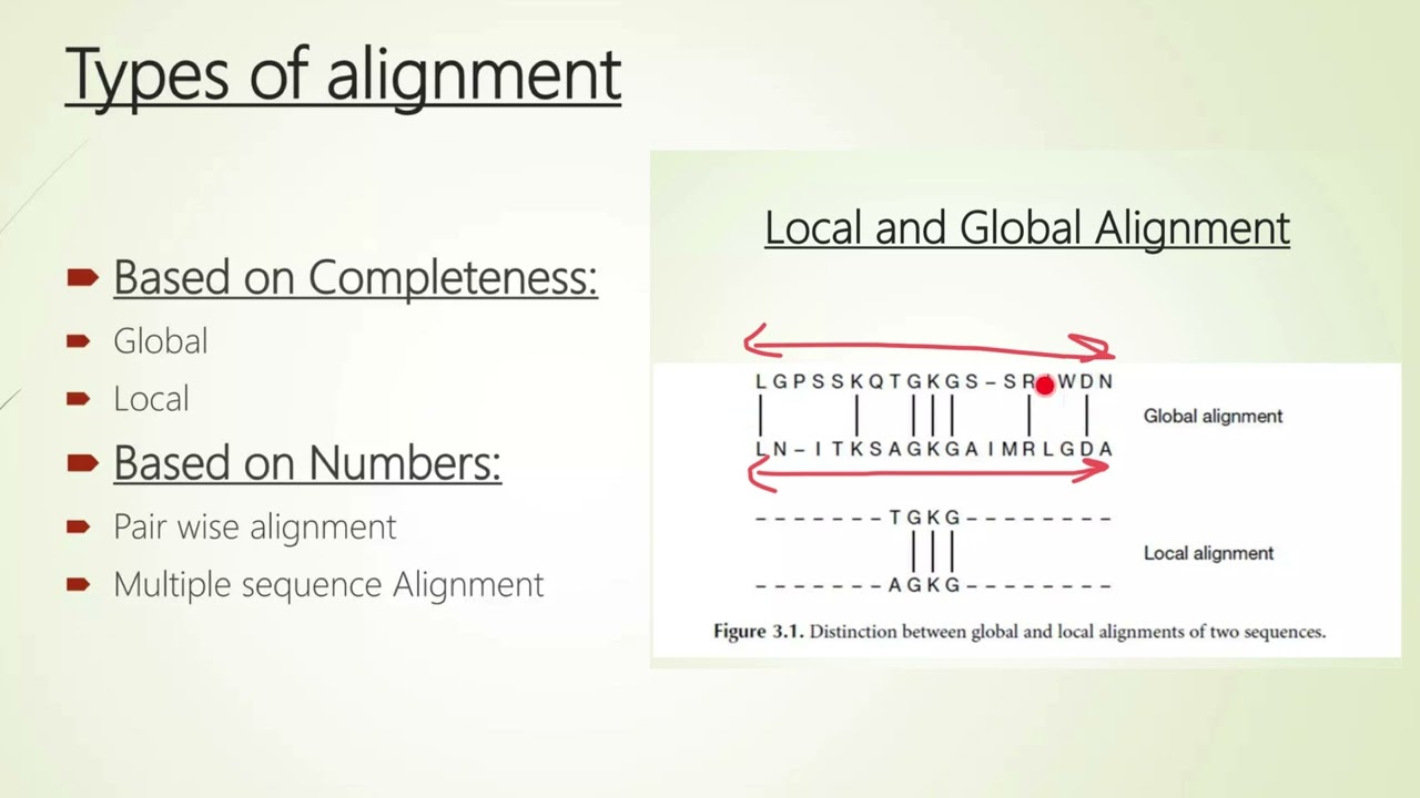 Global Alignment vs. Local Alignment