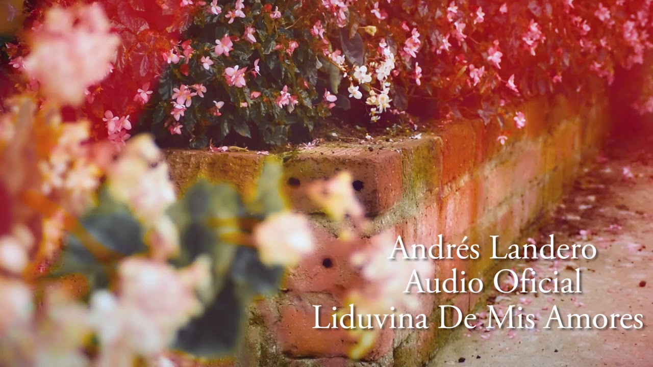 Liduvina de Mis Amores - Andrés Landero y Su Conjunto / Discos Fuentes