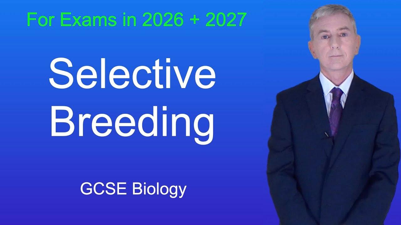 Повторение биологии GCSE «Селекционное разведение»