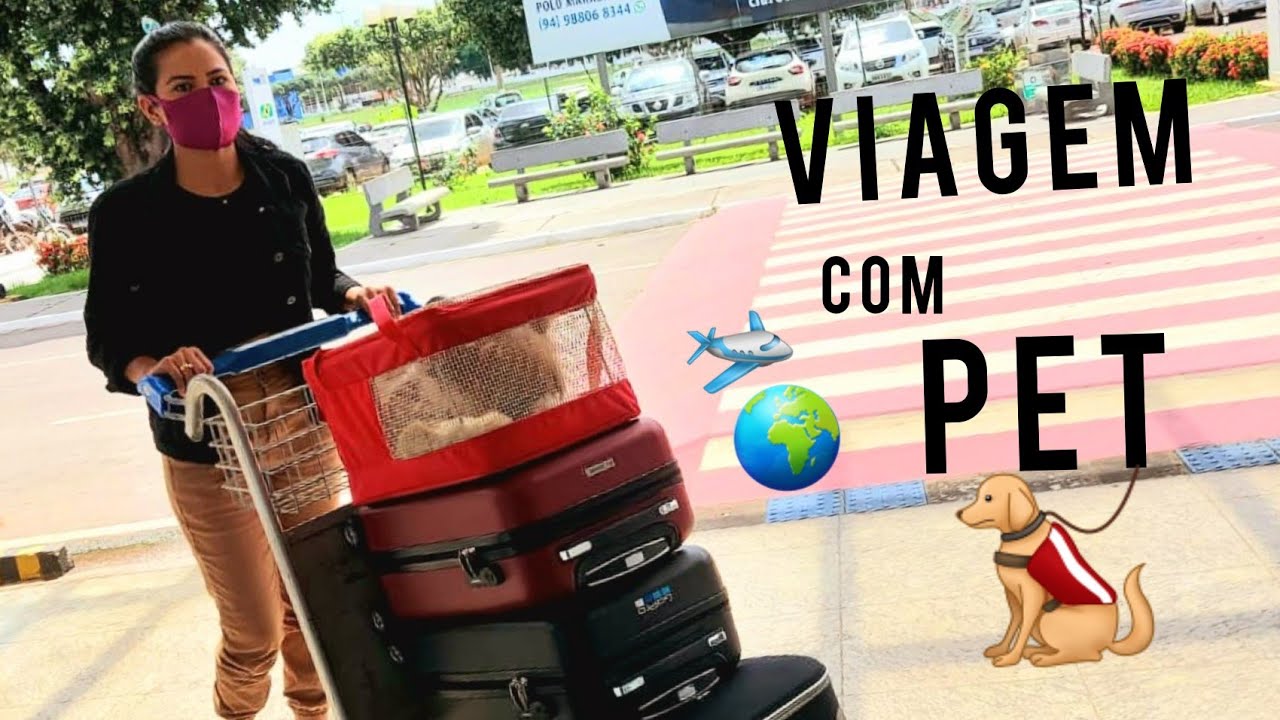 Viajando  De Avião Com  Minha Dog Luna| Documentos  necessários? Cabine ou Porão?