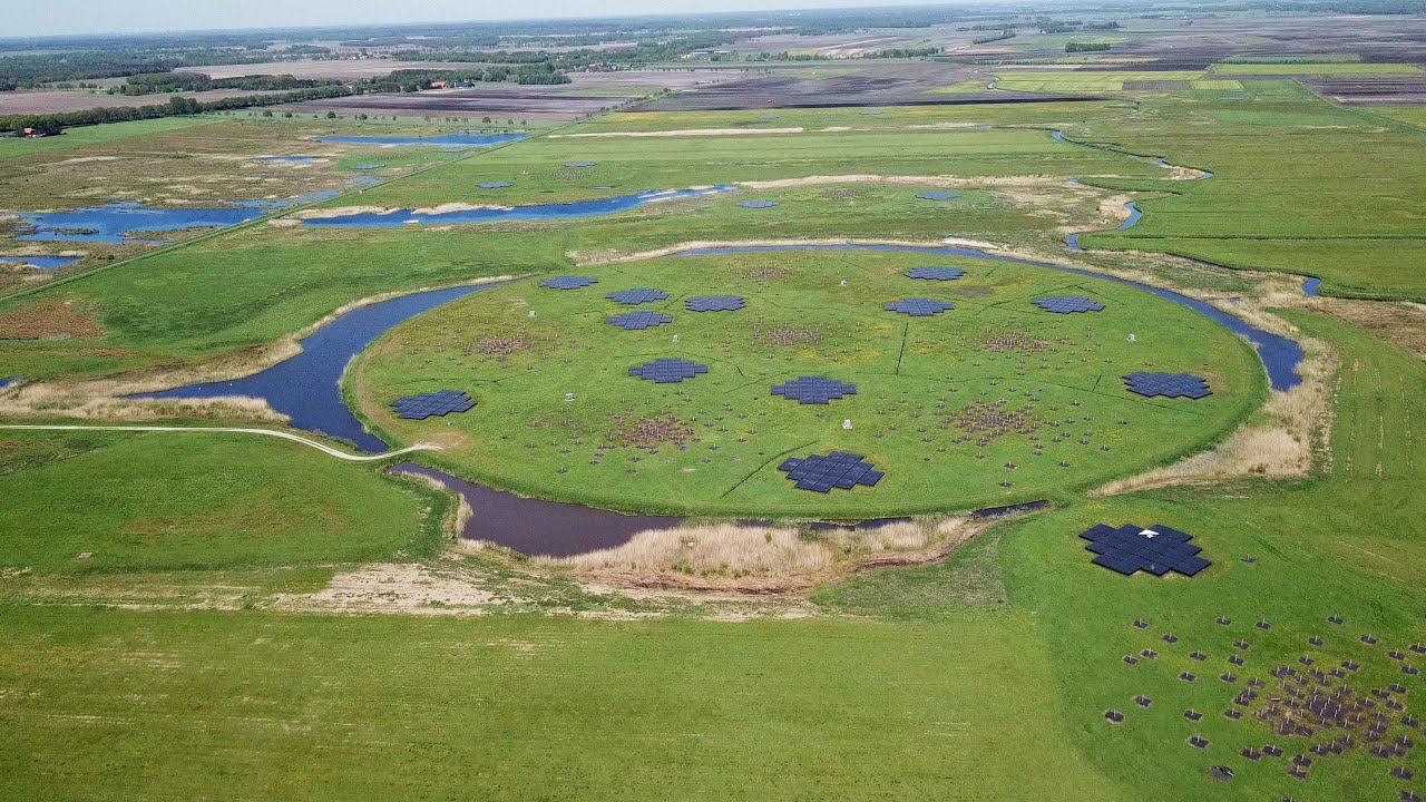 LOFAR, the Low Frequency Array