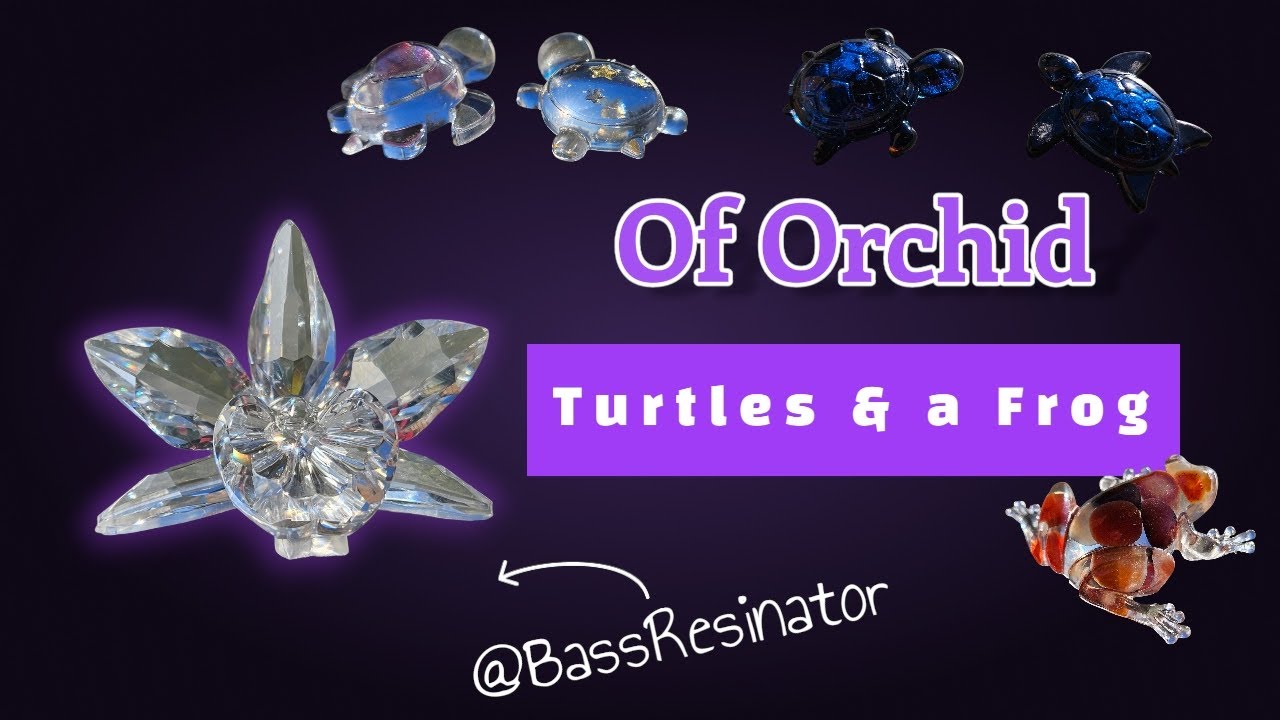 Of Orchid, Turtles and a Frog