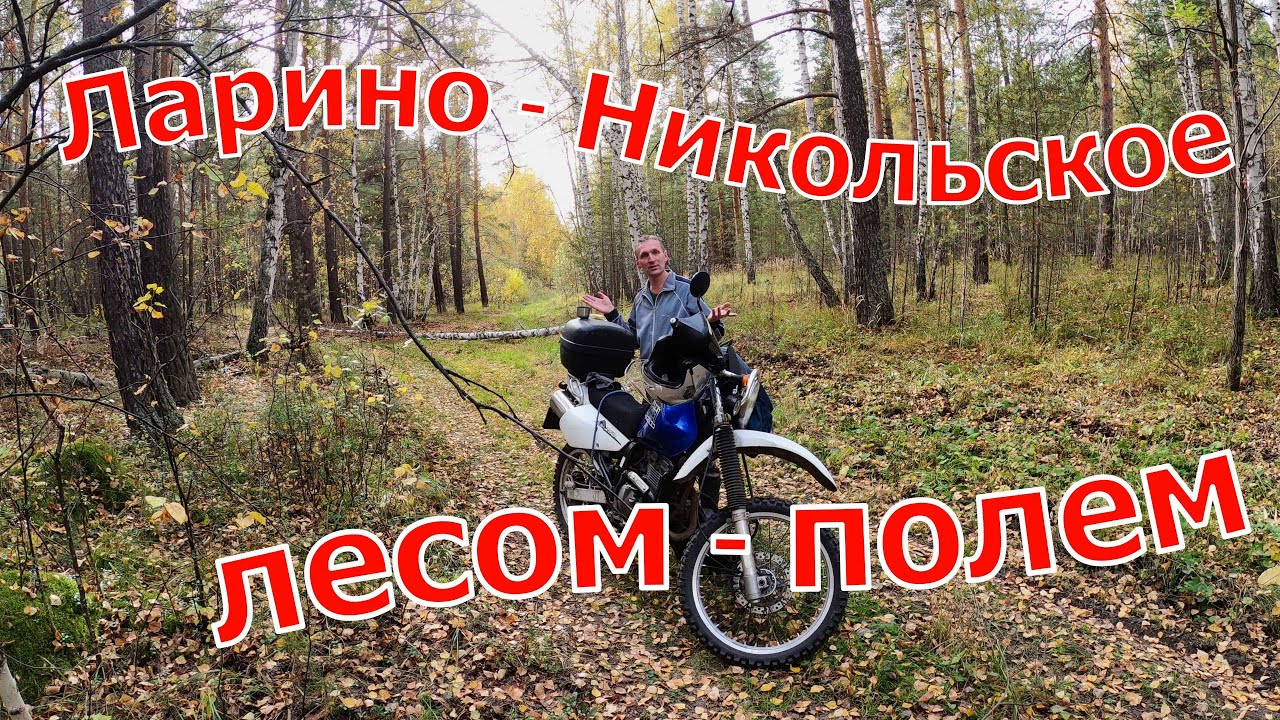 Suzuki Djebel 250. Ларино - Никольское. Лесом - полем.  29.09.2024 г.