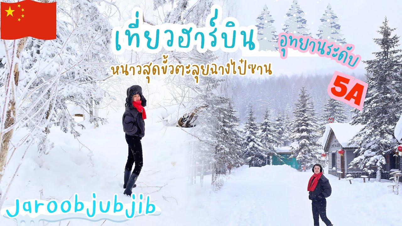 ฮาร์บิน&ฉางไป๋ซาน ตะลุยอุทยานที่มีทะเลสาบบนยอดเขา /หมู่บ้านหิมะท่ามกลางป่าสนHarbin :changbaishan