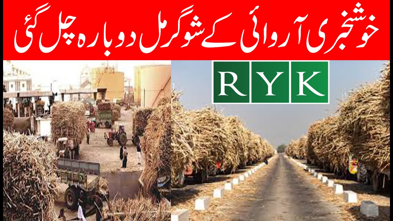 Great news RYK Sugarmills start Crushing again | Great news Sugar mill started crushing again