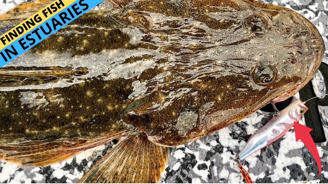 FIND And CATCH Fish In Our Estuaries! (Work The Tides For Success)