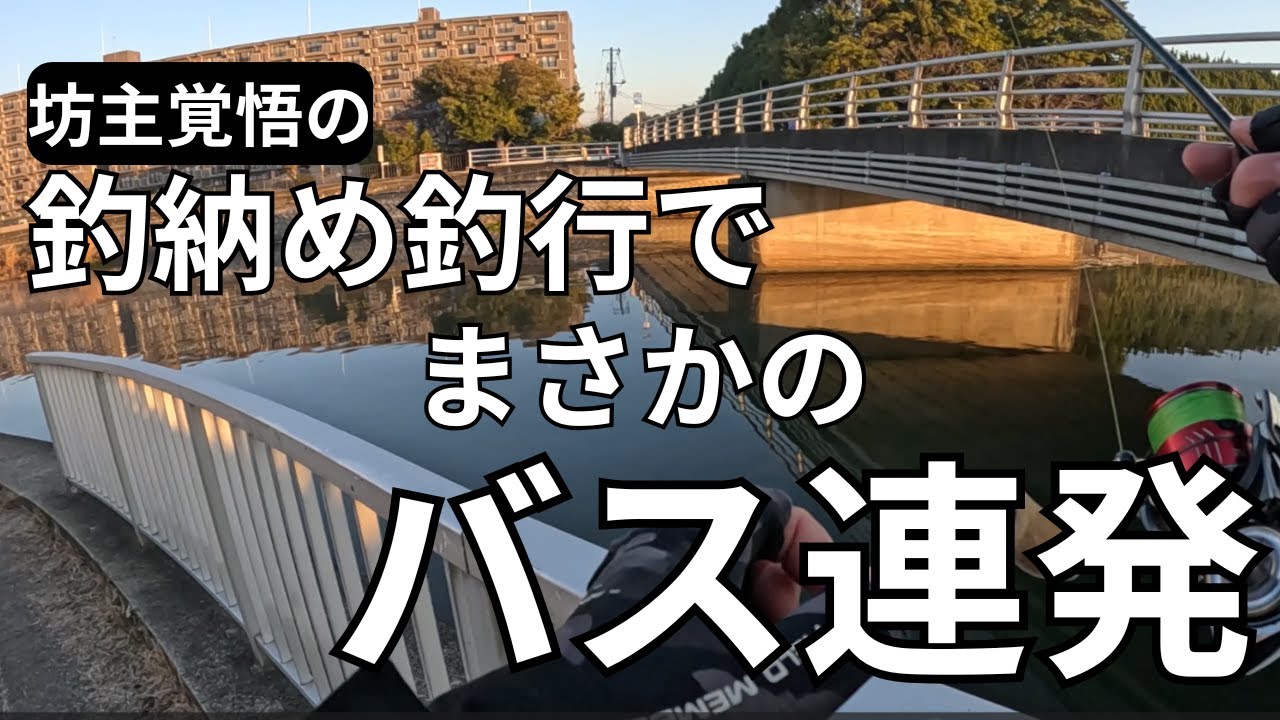 【霞ヶ浦  バス釣り】真冬の鉄板ポイント新川　釣るならやっぱり○○○前