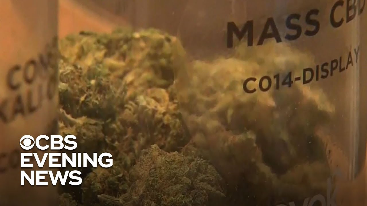 Thousands line up for first recreational pot sales in Massachusetts
