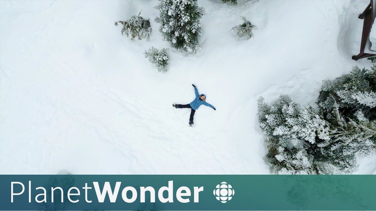 How dense is Canada's snow and why do we need to know?