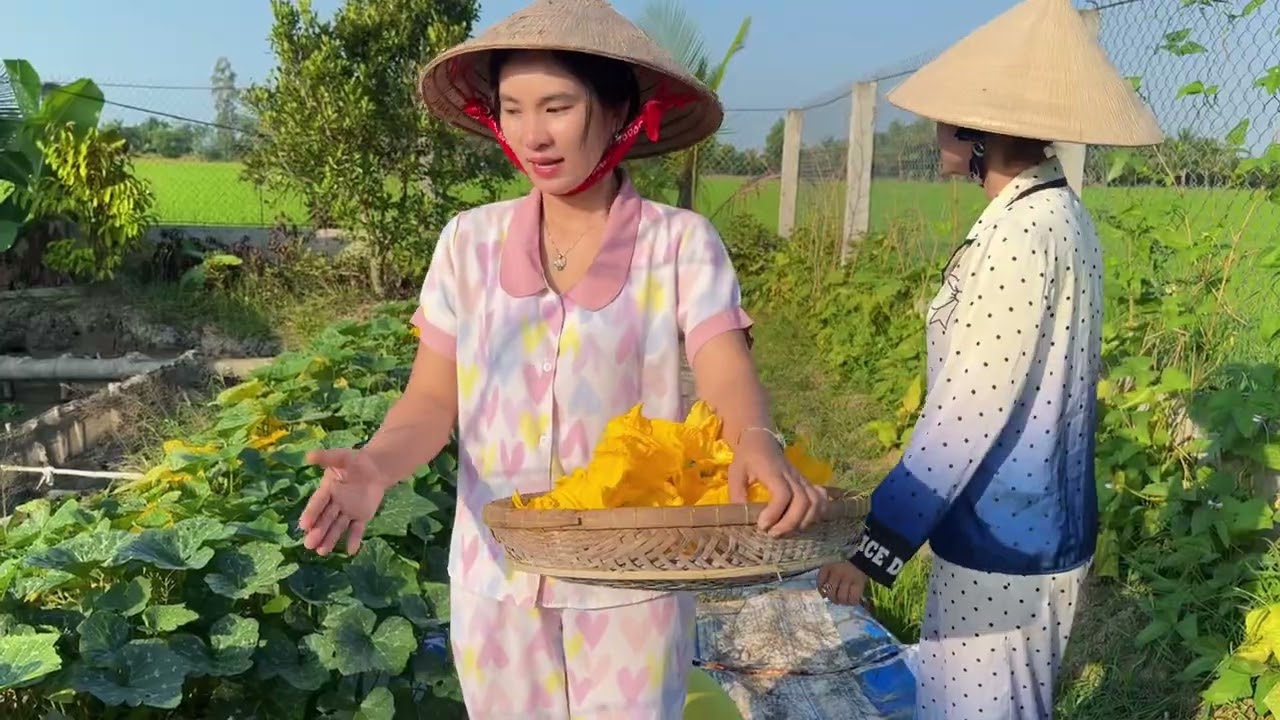 Lan anh & Bích Hương cùng đi thu hoạch vườn rau của cha #lananh #mientay 