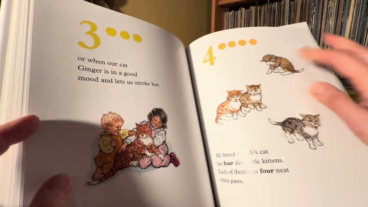 КАЗНАЧЕЙСТВО ШИРЛИ ХЬЮЗ