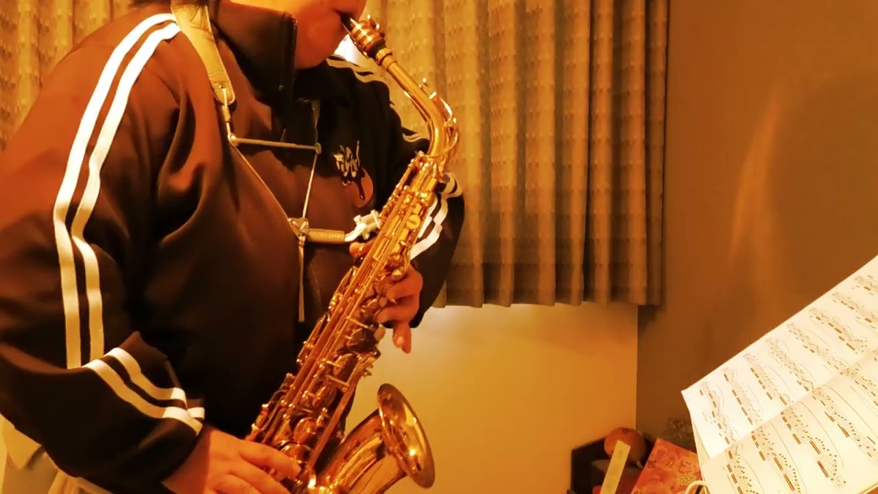 Saxology　サクソロジー　Otto M.Schwarz / 須川展也監修　コンサート用練習曲集中級　アルトサックス#altosaxophone