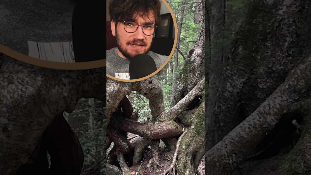 drzewa jedzące rzeczy 6🌳