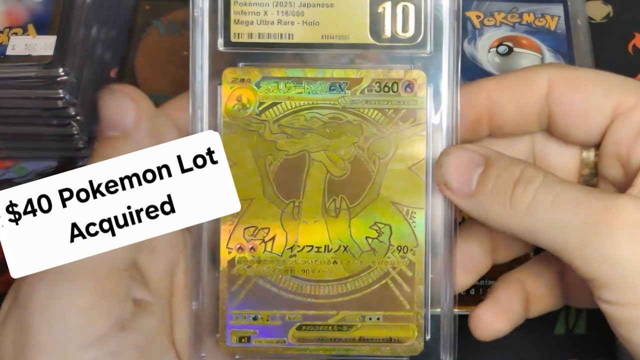 This $40,000 Pokémon Lot Is Our Biggest Yet