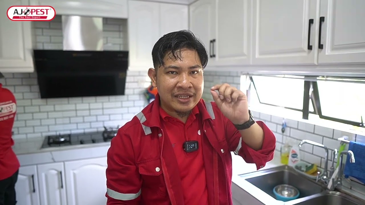 CARA NAK SELESAIKAN MASALAH ANAI-ANAI MENGGUNAKAN KAEDAH PENGUMPANAN | TERMITE BAITING PROGRAM