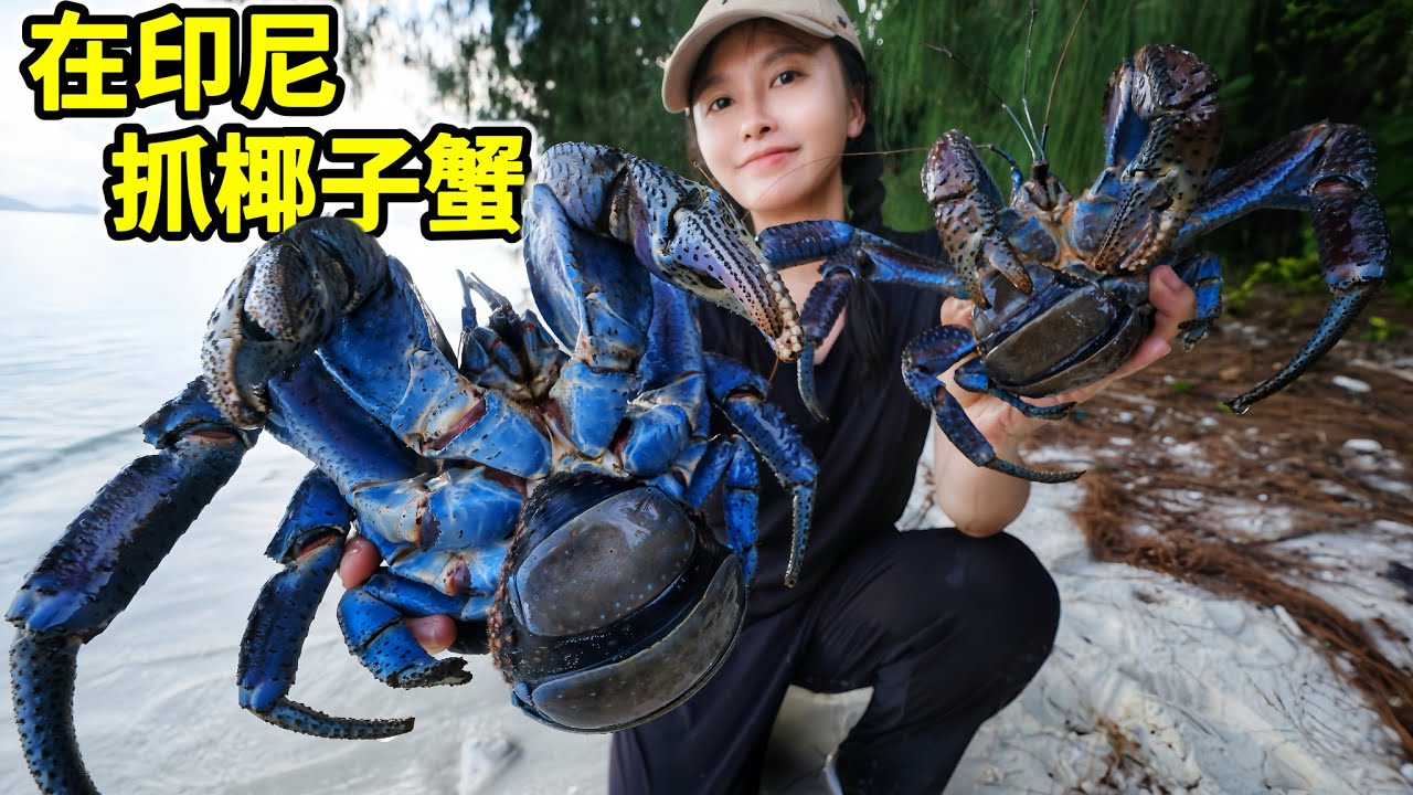 印尼抓巨型椰子蟹，巧设陷阱诱捕3只，到底什么味道？| 印尼 | 赶海 | 椰子蟹 | 海岛 | 螃蟹 |