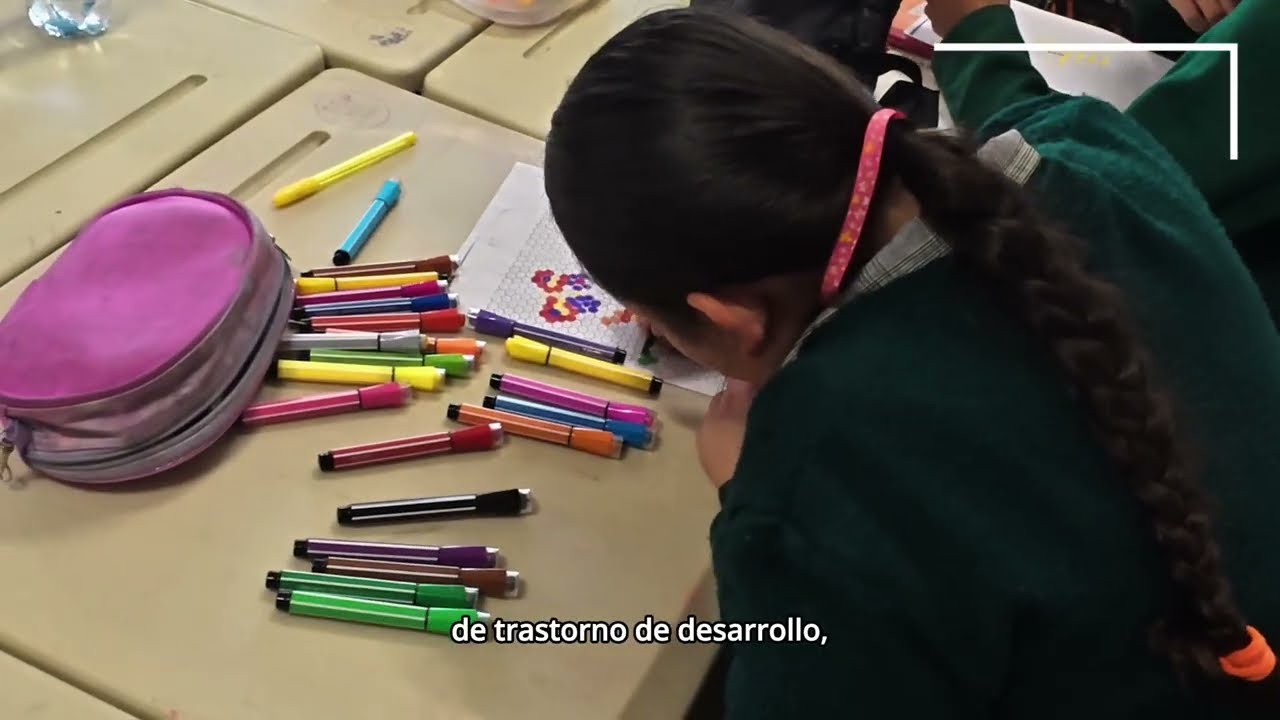Centros de Atención Múltiple (CAM)