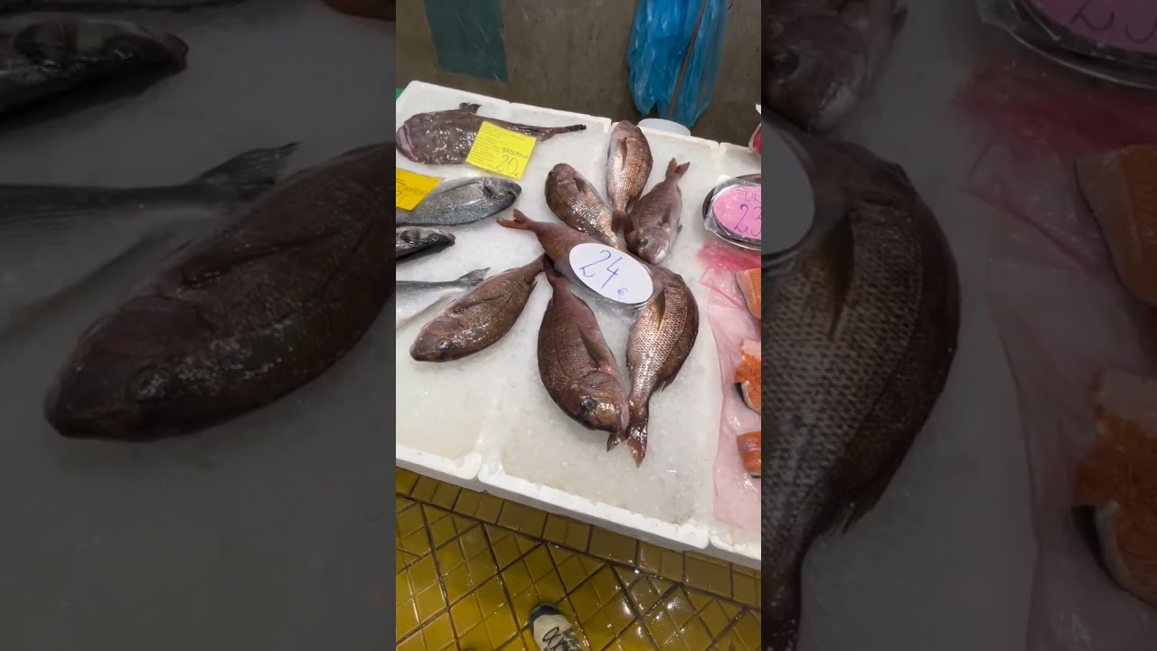 Fresh catch chaos at the fish market! 🐟