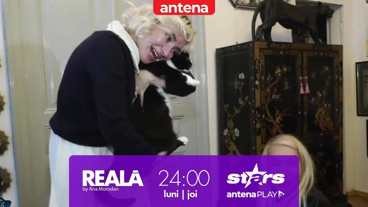 Ana Morodan, cadou special pentru motanul Fitz