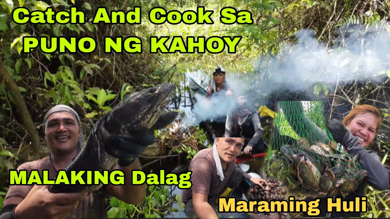 CATCH AND COOK SA PUNO NG KAHOY