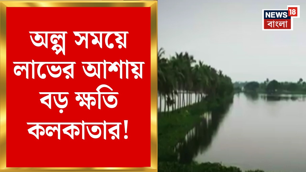Kolkata News | পূর্ব কলকাতার জলাজমি বুজিয়ে নির্মাণ! বিপদে কলকাতার কিডনি! | Bangla News