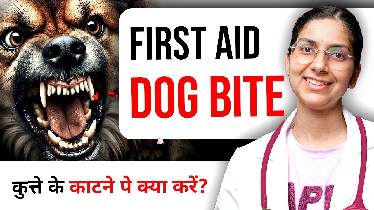 First Aid  🐶 Dog Bite in Hindi  - Rabies vaccine 💉 | 👩‍⚕️ Dr Richa Tiwari
