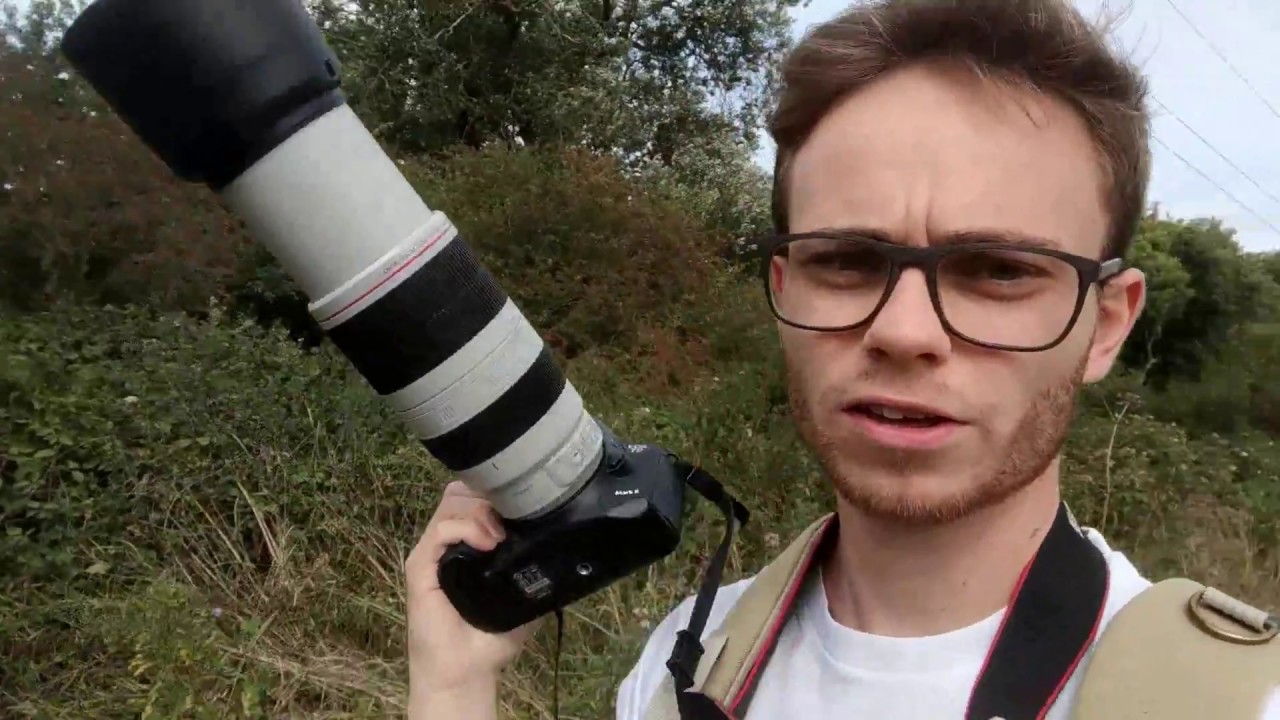 Wildlife Photography Using the Canon 7D Mark II & 100-400mm F4.5-5.6 IS USM Mark II Lens